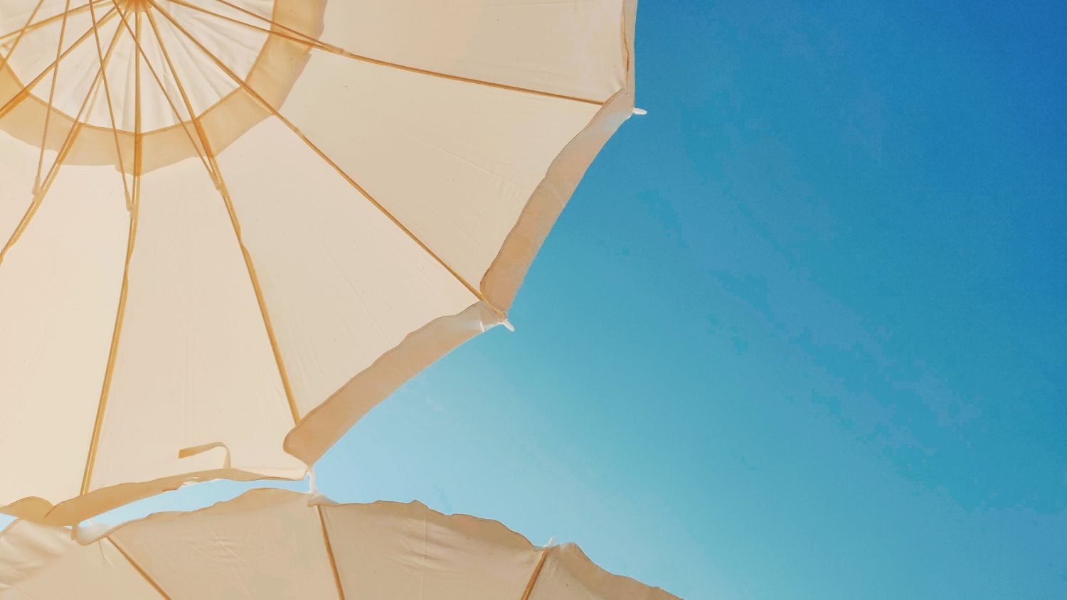 夏の暑さに負けないためのスーパーフードとは？