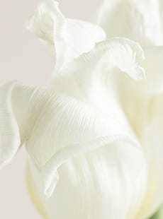 肌と心を育むシンプルケア