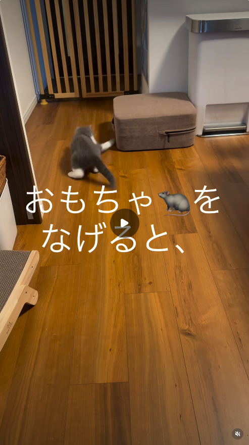 エントリーNo.1
