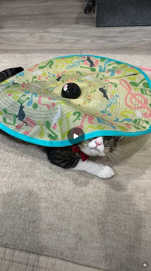 エントリーNo.2