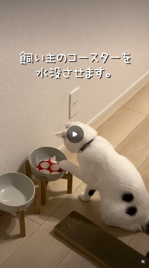 エントリーNo.8