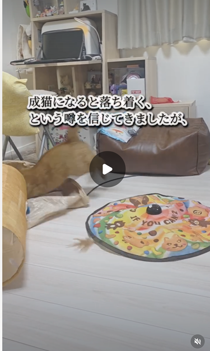 エントリーNo.28