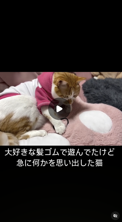 エントリーNo.31