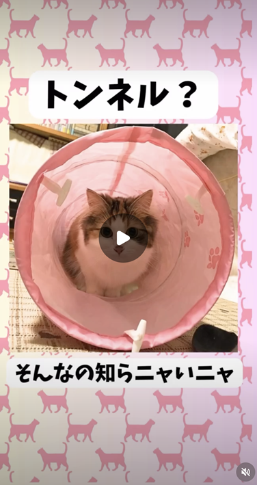 エントリーNo.37