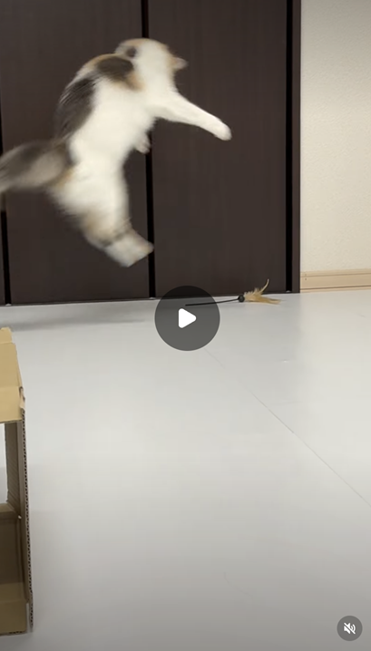 エントリーNo.38