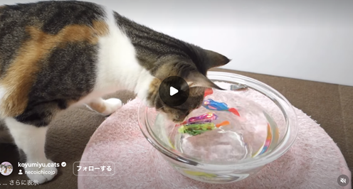 エントリーNo.39