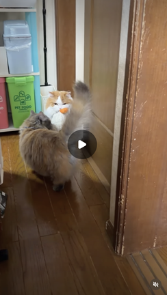 エントリーNo.46