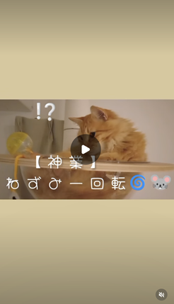 エントリーNo.47