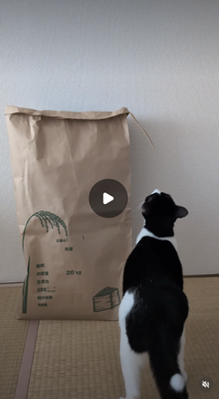 エントリーNo.49