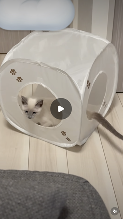 エントリーNo.51