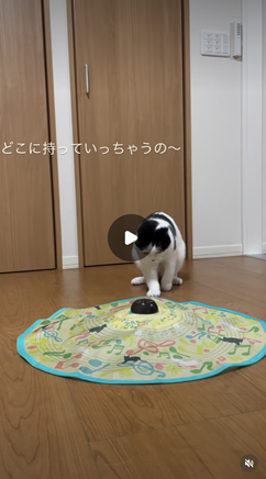 エントリーNo.54