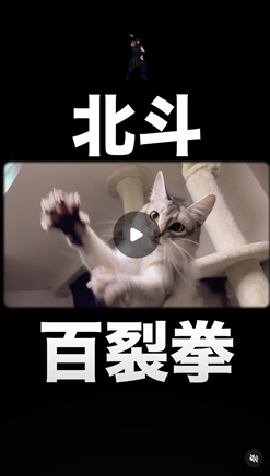 エントリーNo.56