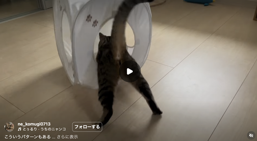 エントリーNo.58