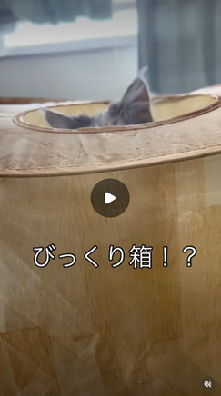 エントリーNo.62