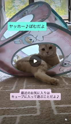 エントリーNo.73