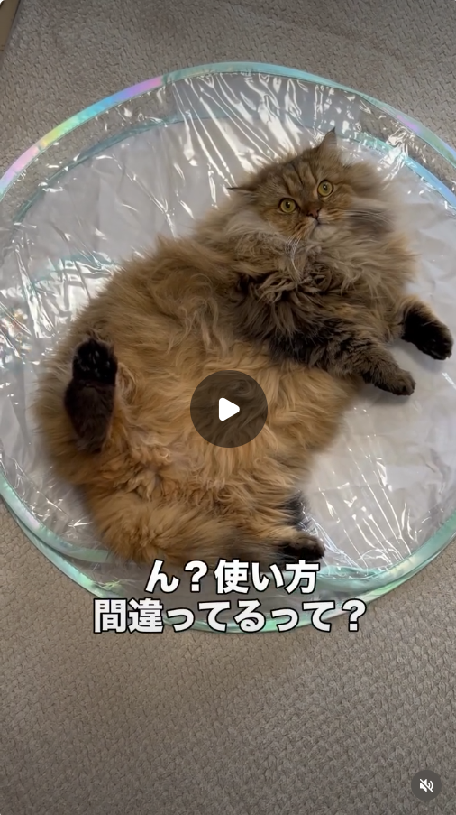 参考リールNo.2