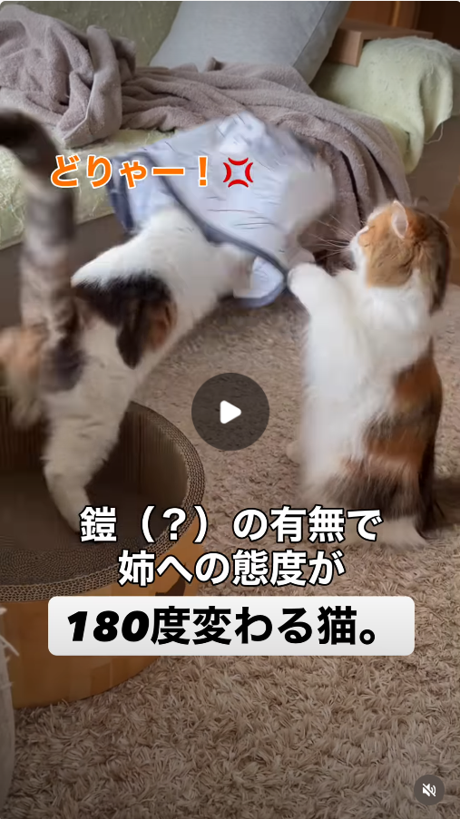 参考リールNo.3
