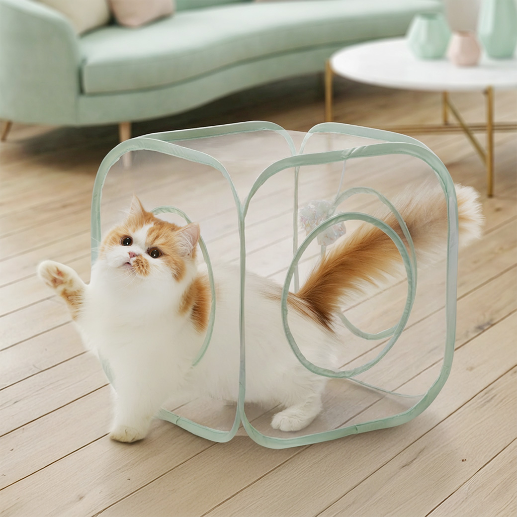 キャットプレイキューブ クリア