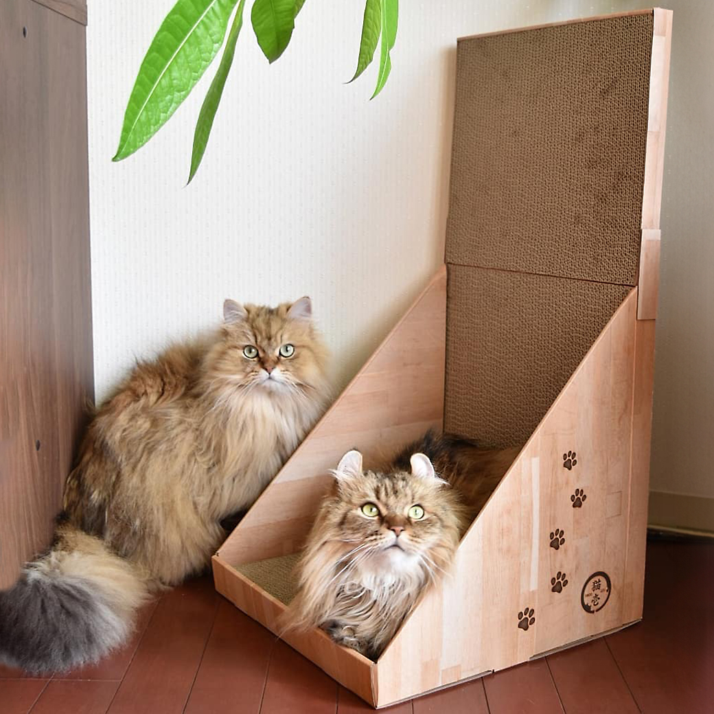 バリバリボード