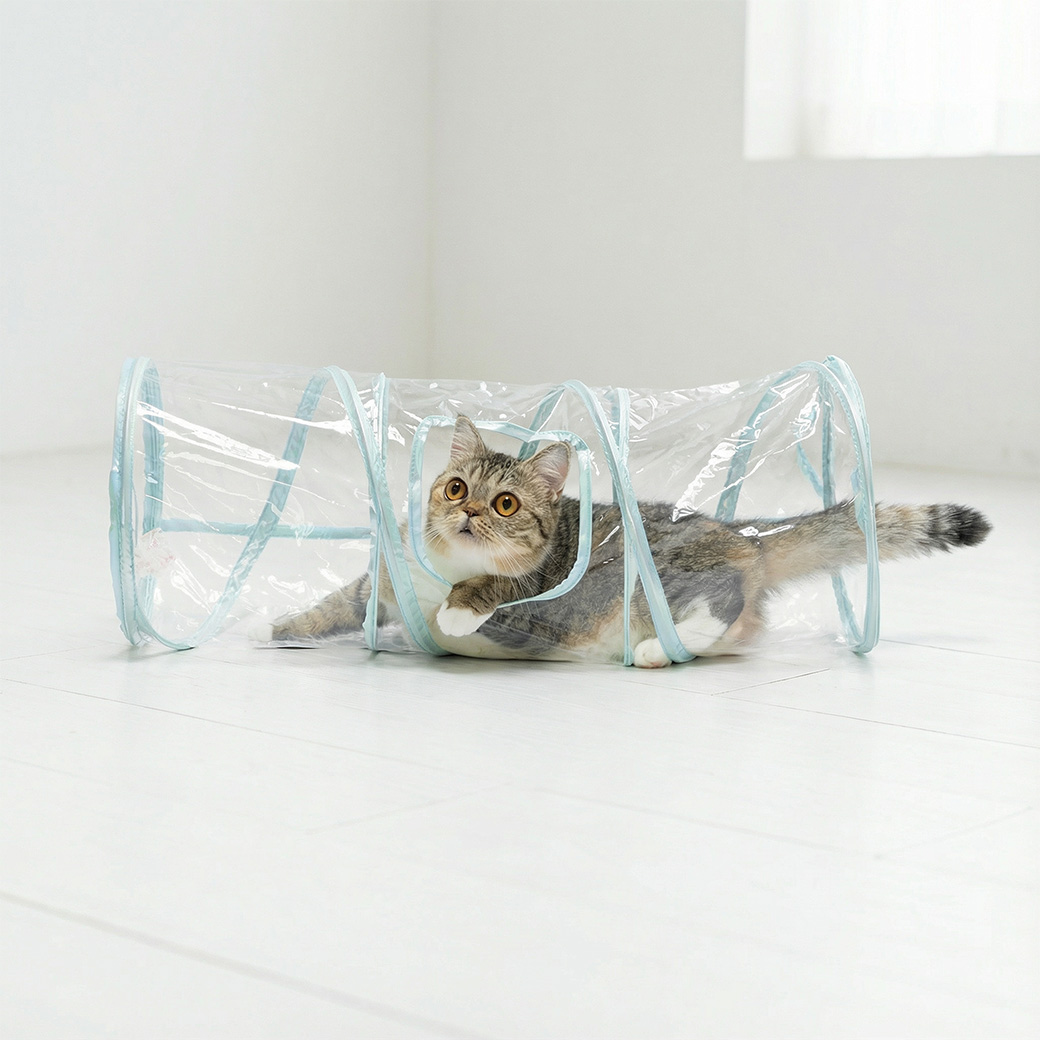 キャットトンネル クリア