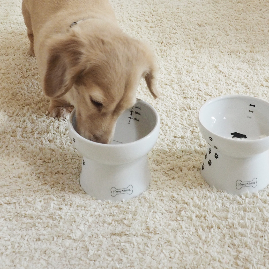 犬用 脚付ウォーターボウル ハイタイプ