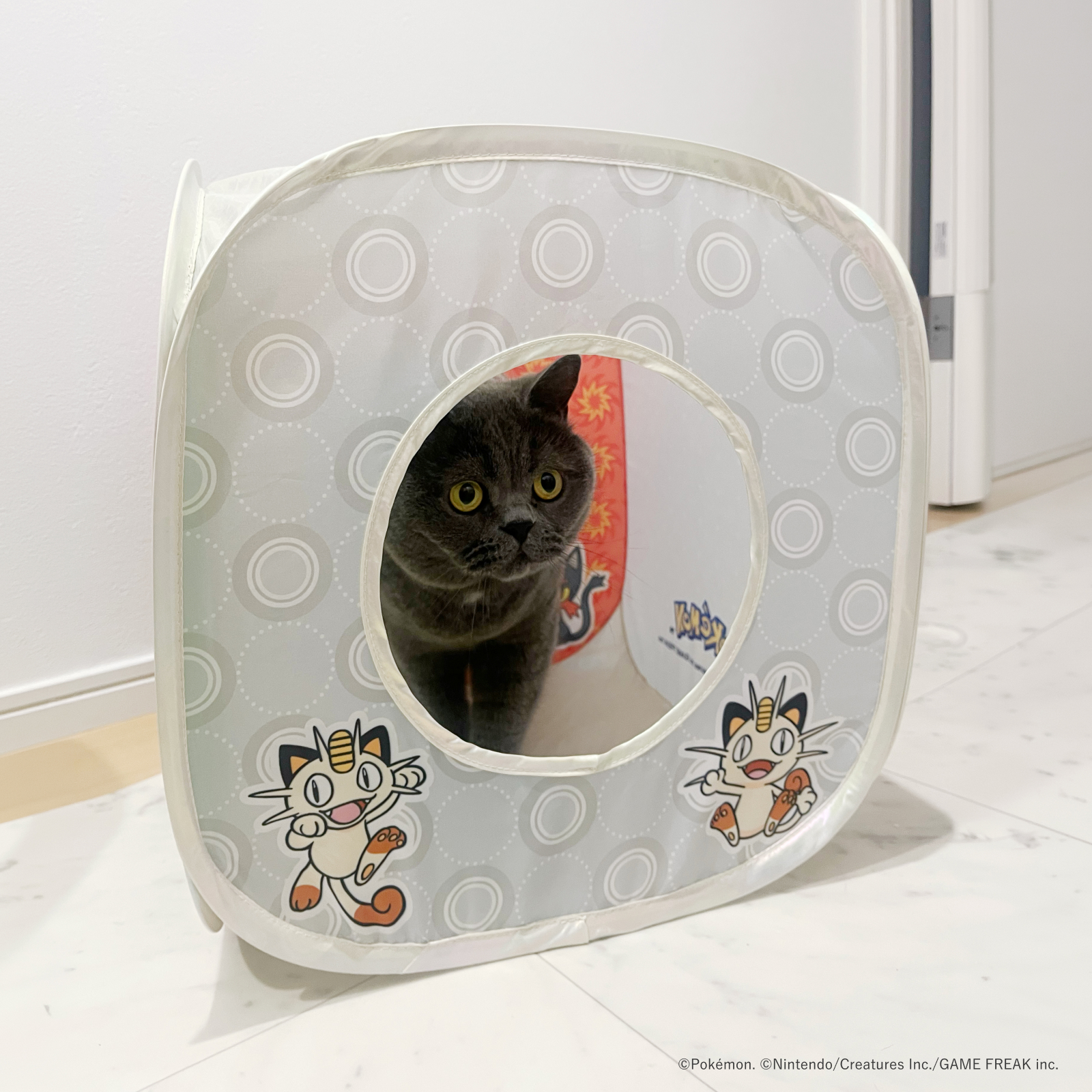 【ポケモンデザイン】キャットプレイキューブ