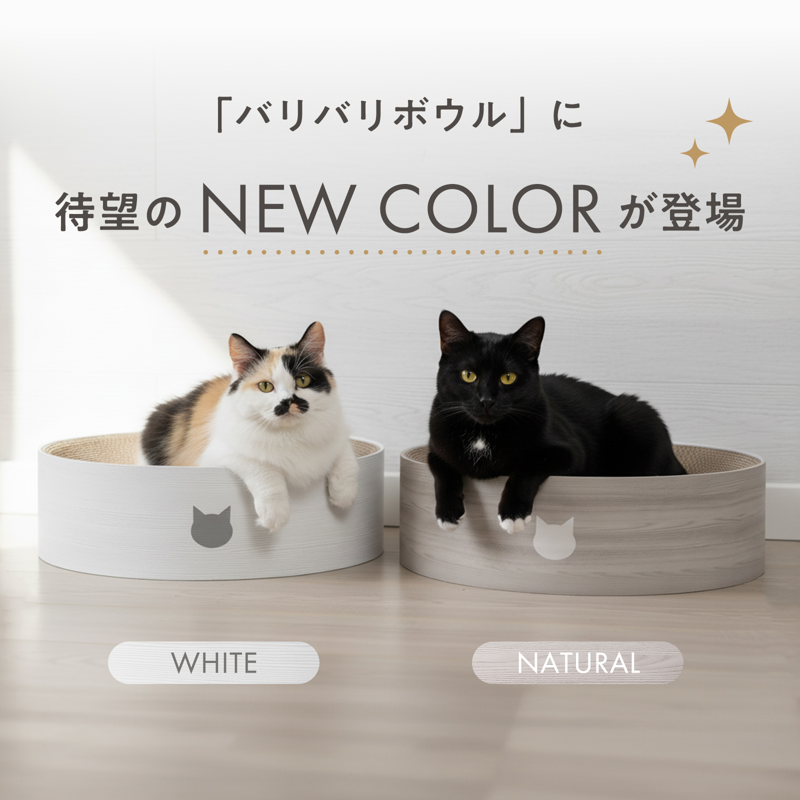 バリバリボウルXL｜猫壱公式オンラインストア