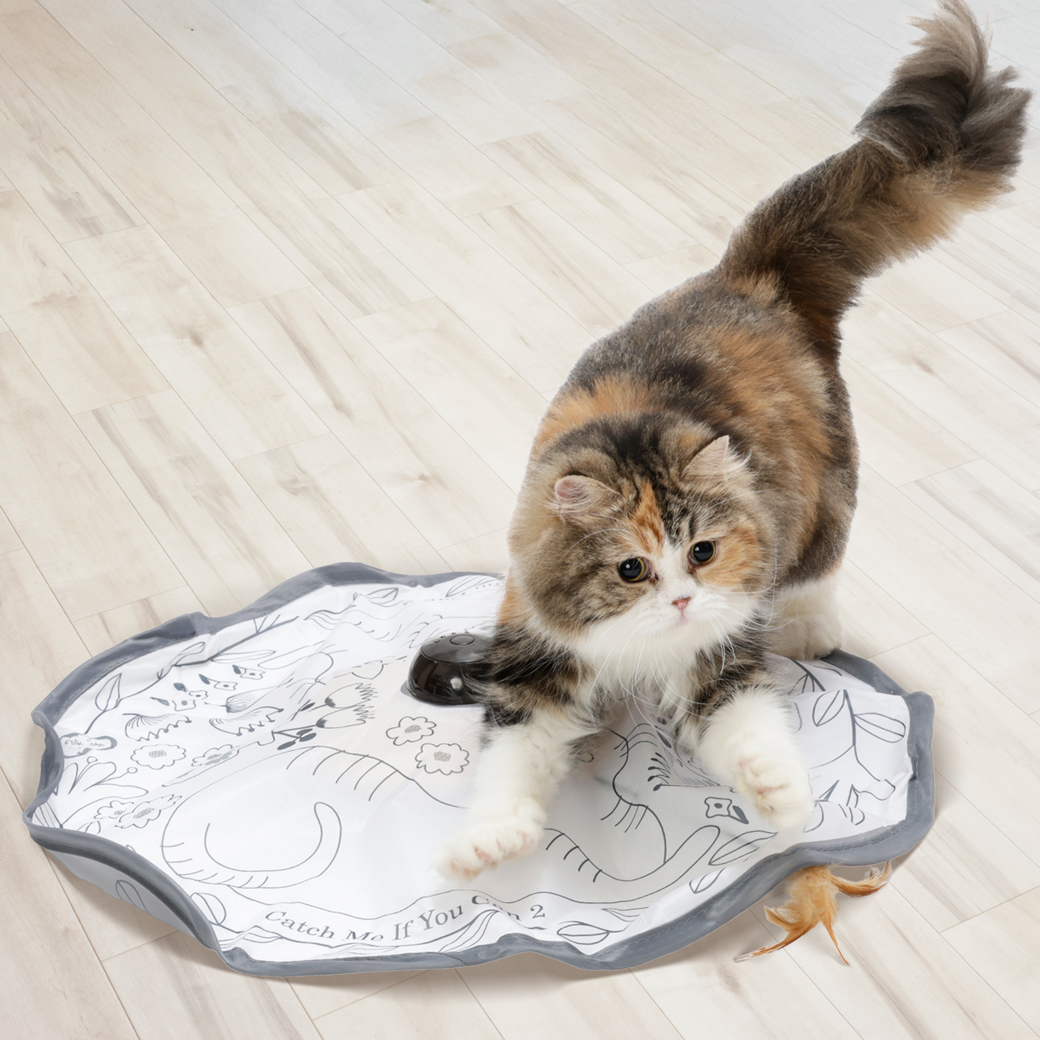 キャッチ・ミー・イフ・ユー・キャン２ 交換用スティック 3本セット