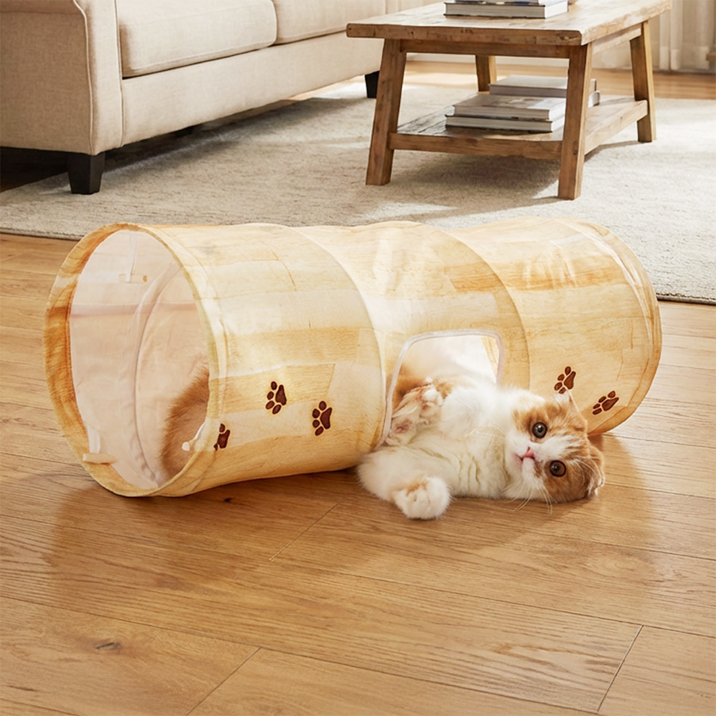 キャットトンネル