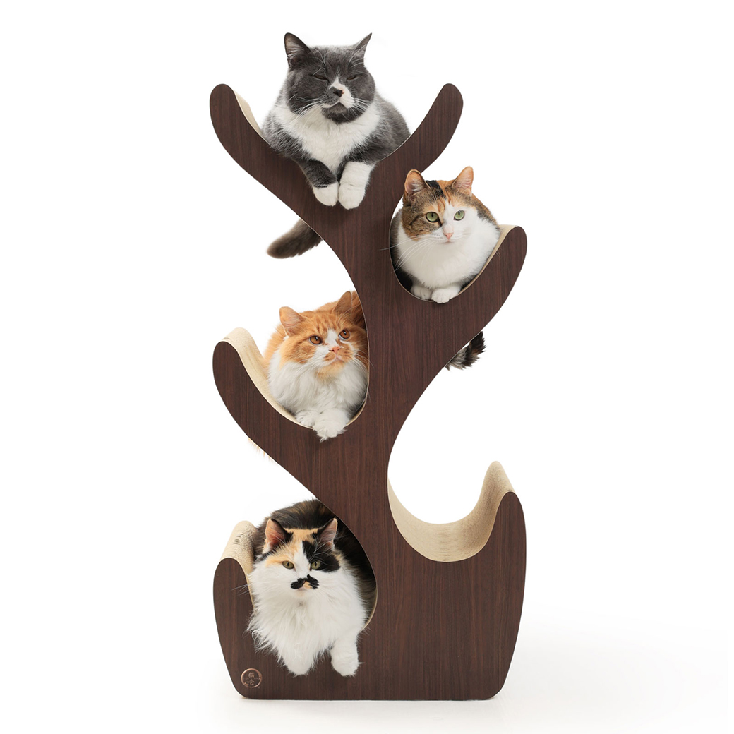 【公式限定】キャットツリー R