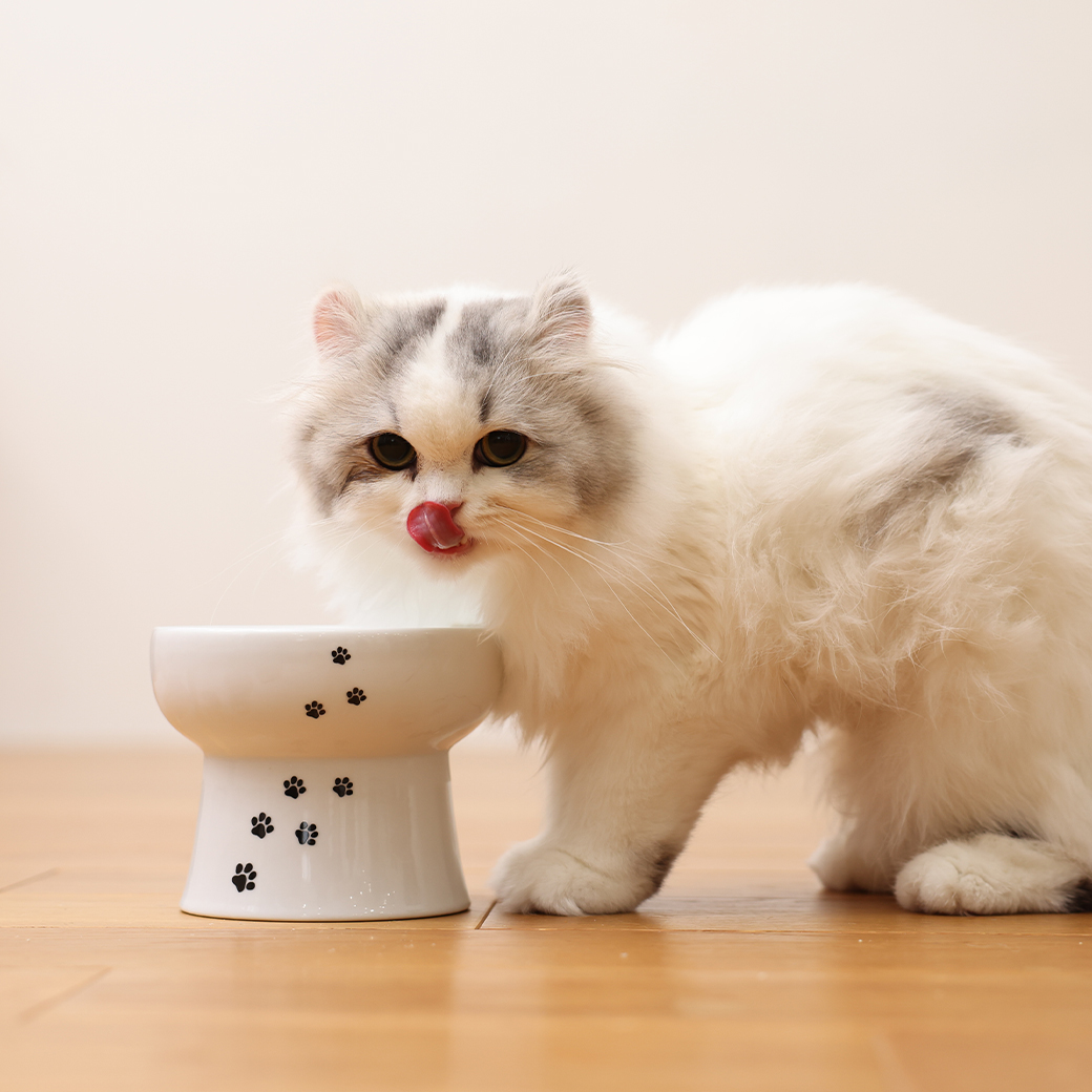 脚付ウォーターボウル ハイタイプ