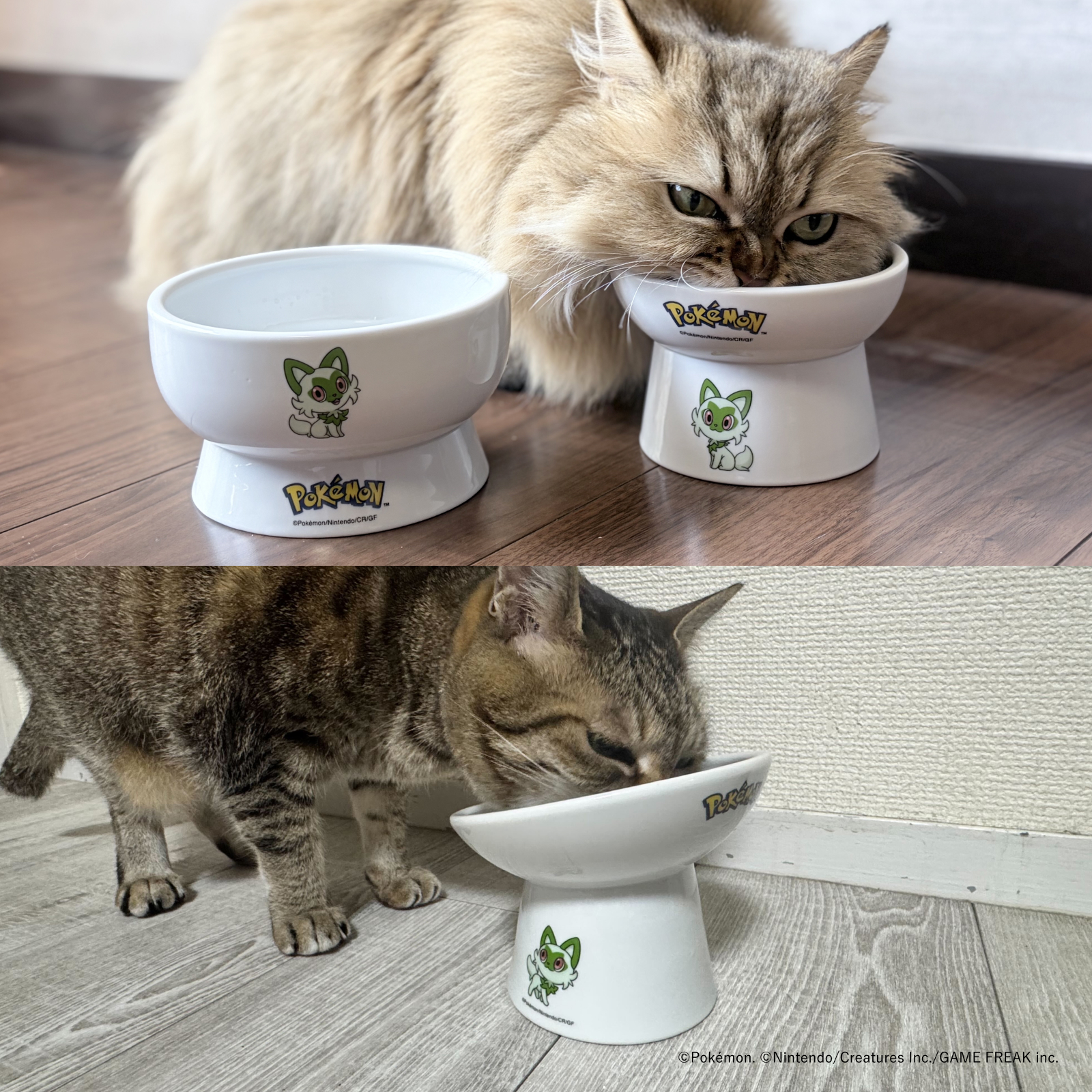 ポケモンデザイン】猫用 脚付ウォーターボウル レギュラー（ニャオハ