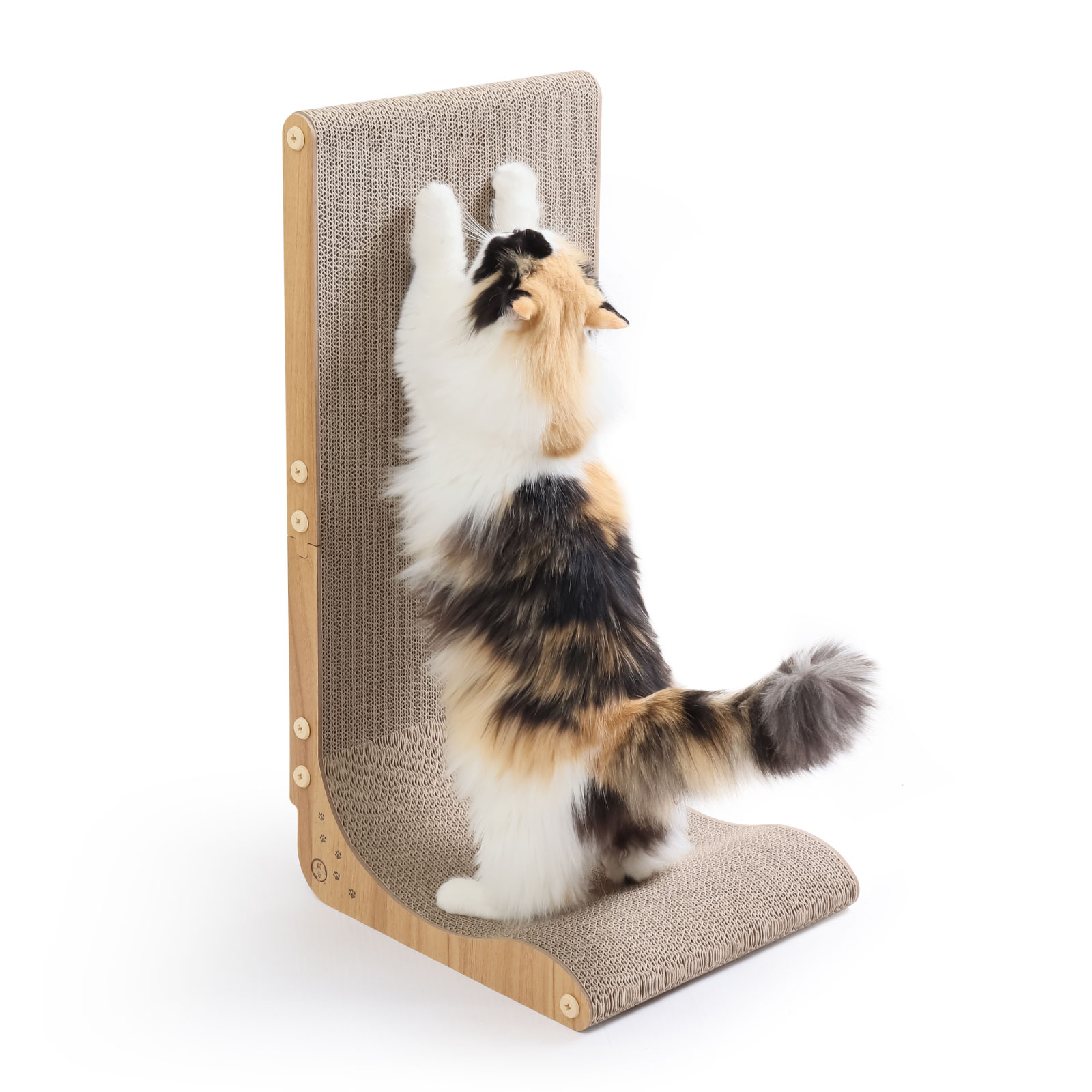 バリバリボード ウッドプレミアム 本体