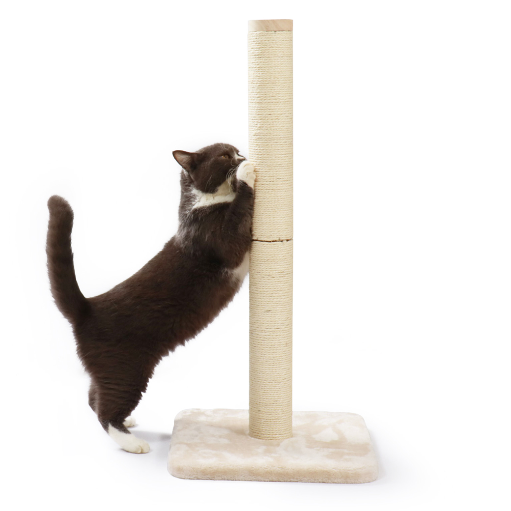 バリバリつめとぎポール L