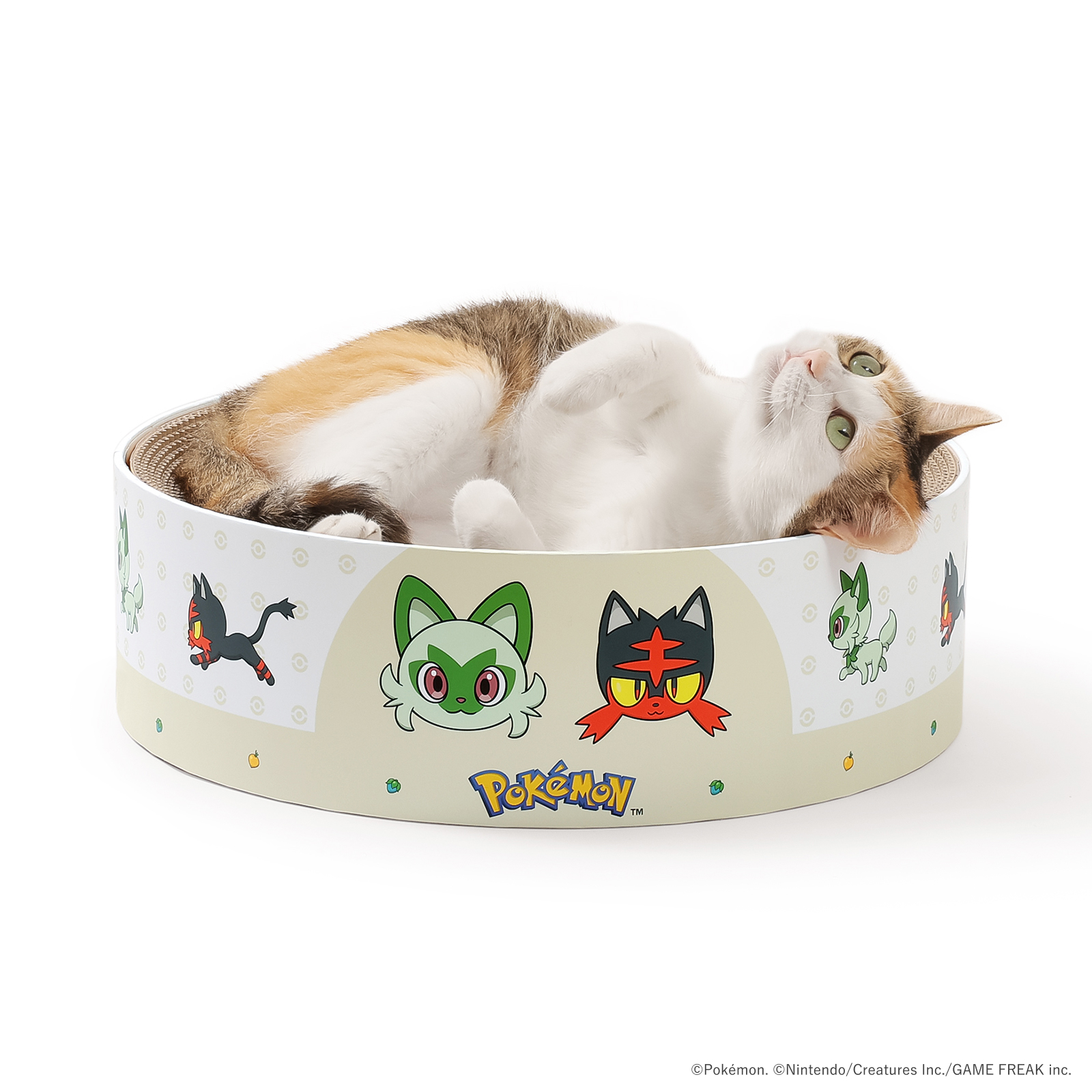 ※予約販売※【ポケモンデザイン】バリバリボウル