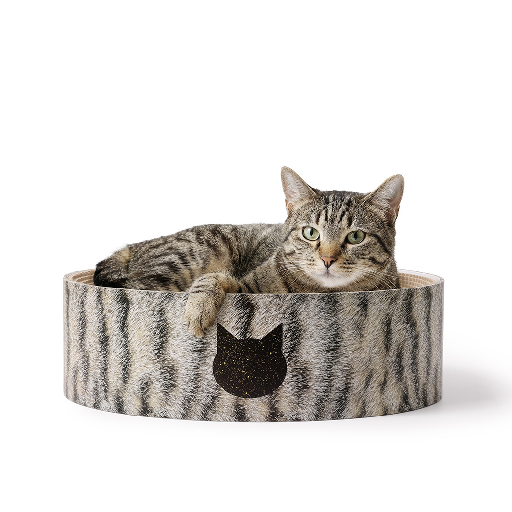 【公式限定】バリバリボウル キジトラ