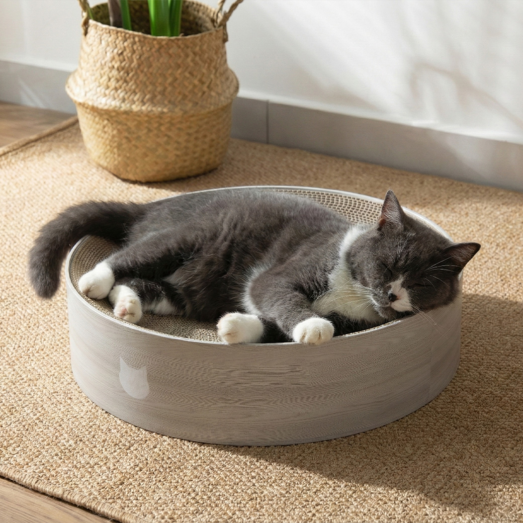 バリバリボウルXL