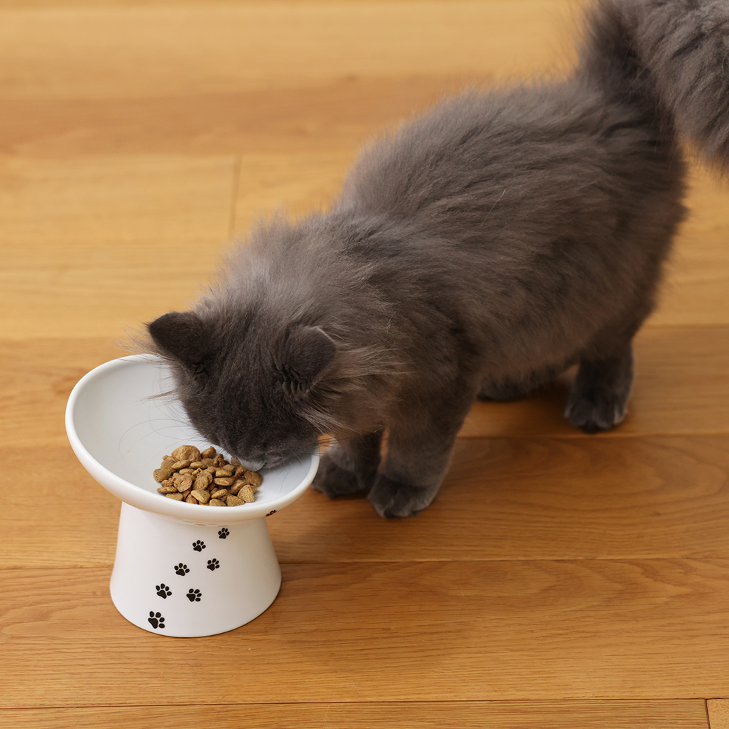 脚付フードボウルにゃにゃめR