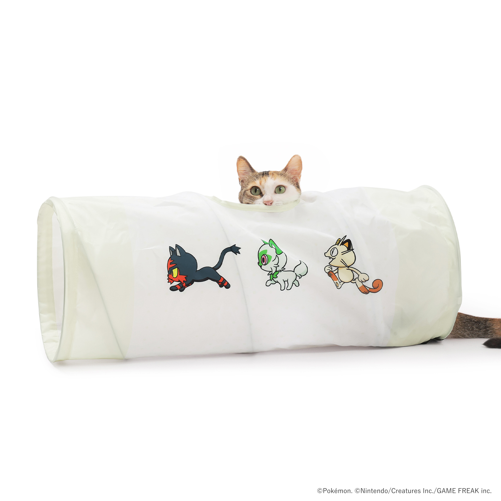 ※予約販売※【ポケモンデザイン】キャットトンネル