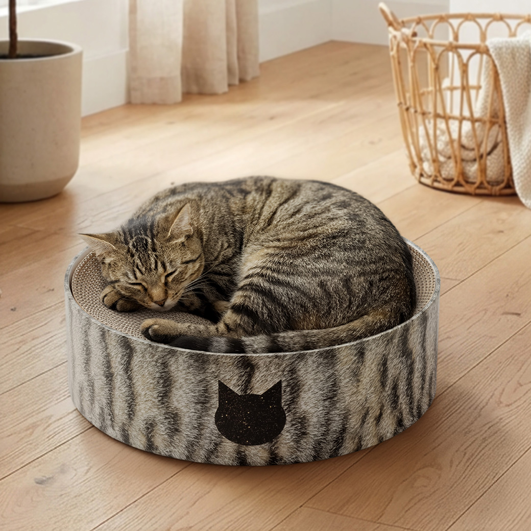 【公式限定】バリバリボウル キジトラ