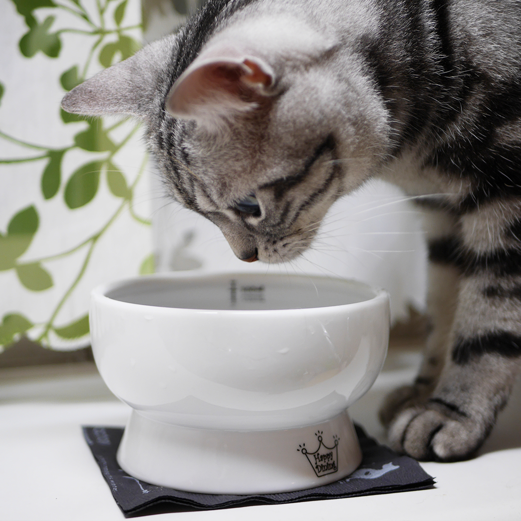 脚付ウォーターボウル レギュラー