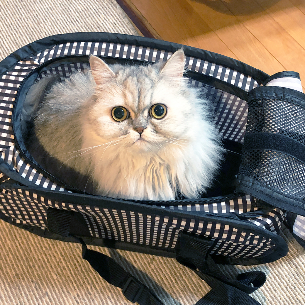 ポータブルキャリー