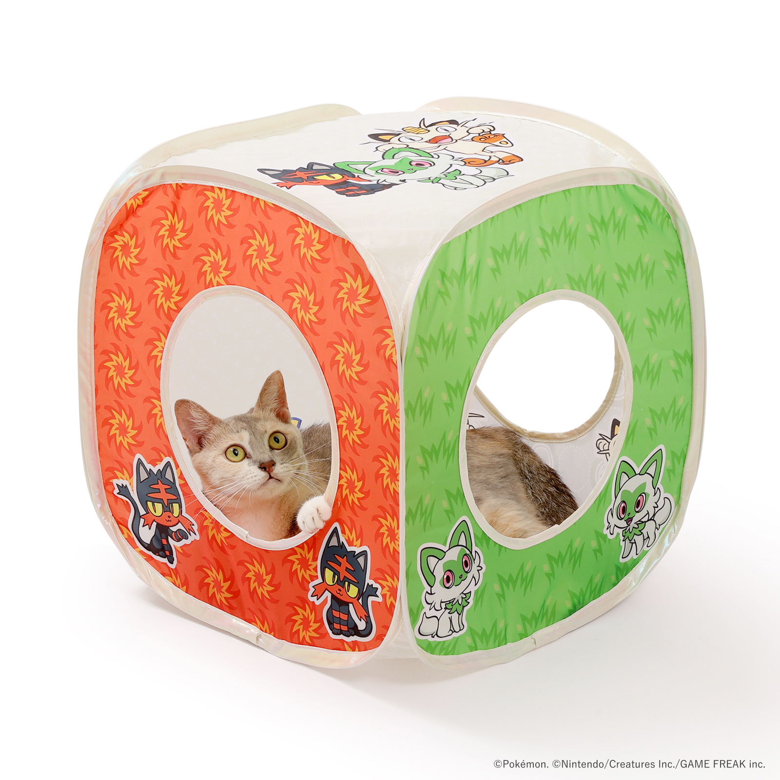 ※予約販売※【ポケモンデザイン】キャットプレイキューブ