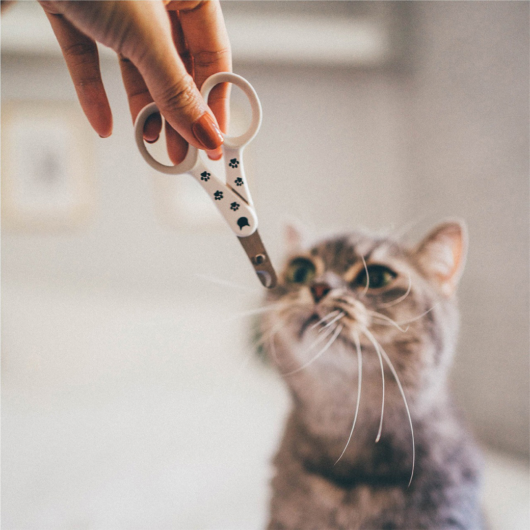 [公式ストア限定]猫壱プレミアムセット