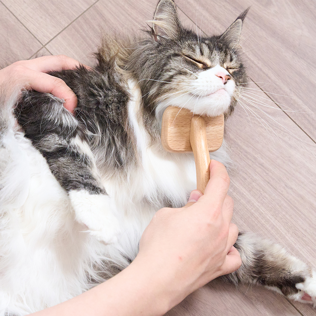 【公式限定】スリッカーブラシ 天然木