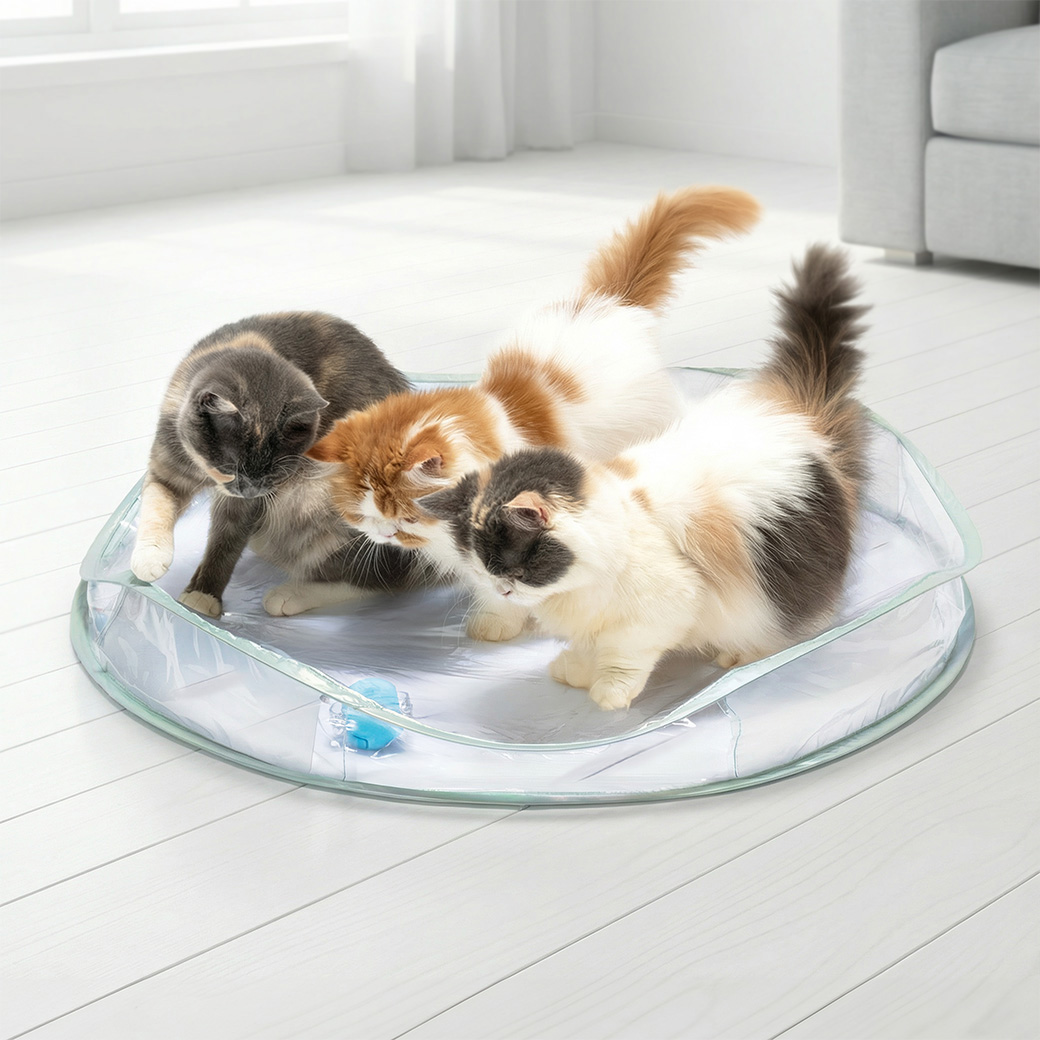 キャット電動トイ クリア