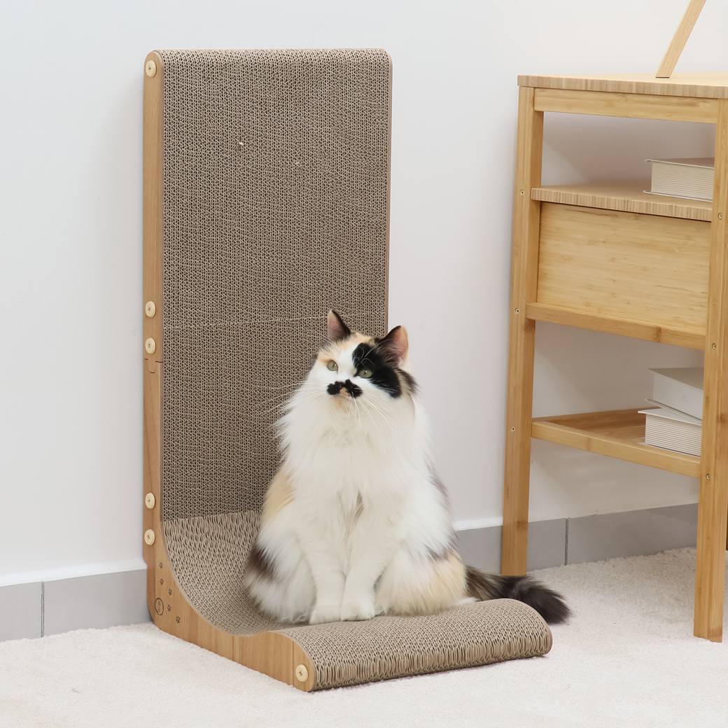 バリバリボード ウッドプレミアム 本体