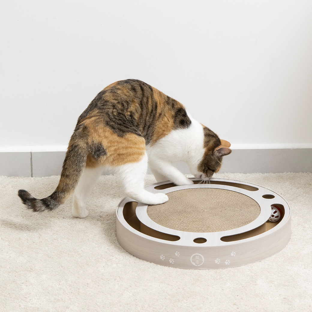 バリバリパッド コロコロボール