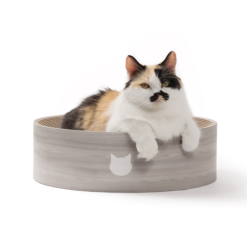 バリバリボウル