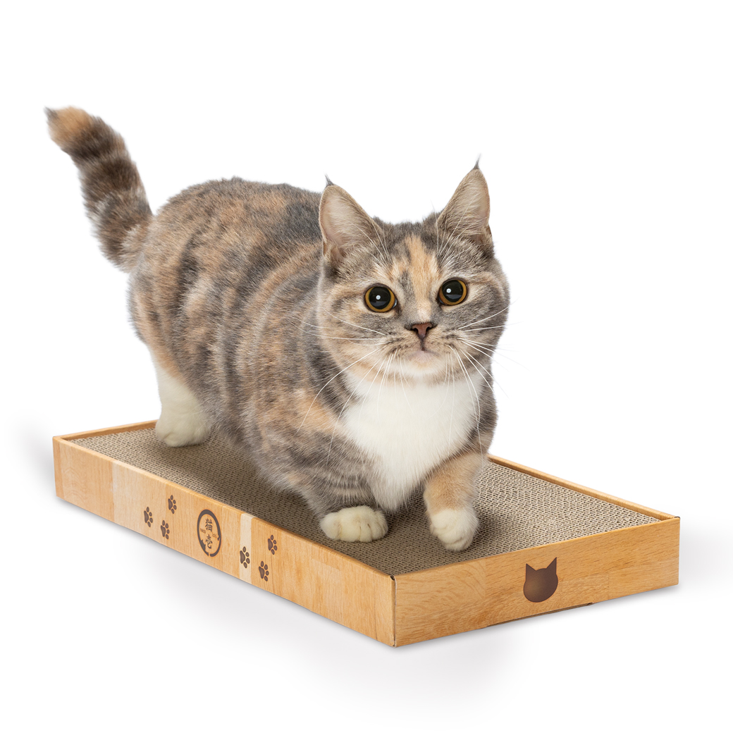 バリバリパッド ワイド